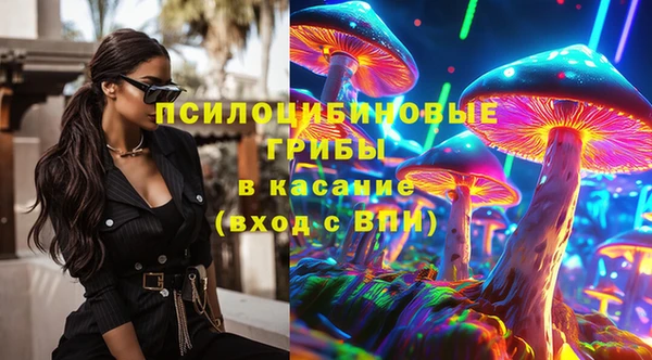 индика Алексин