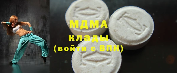 индика Алексин