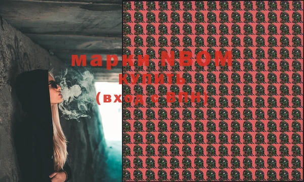 индика Алексин