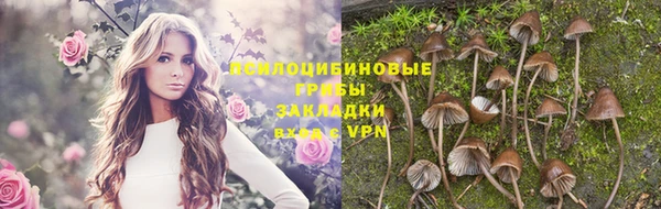 кокс Алзамай